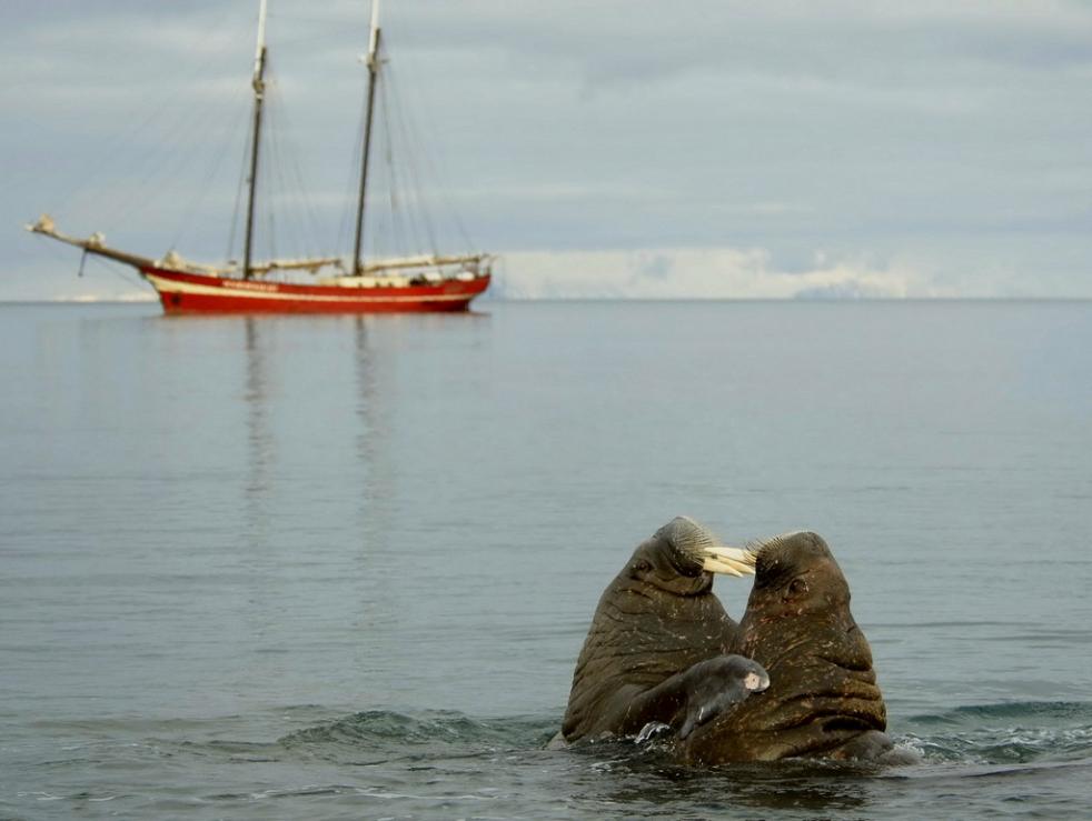 Central Spitsbergen - Arctic Autumn