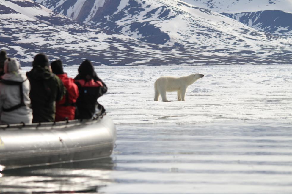 Around Spitsbergen 82 North