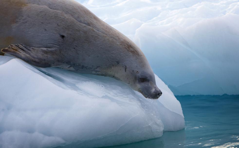 Antarctic Polar Circle