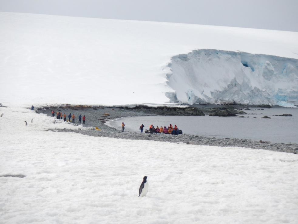 Fly and Cruise Antarctica 