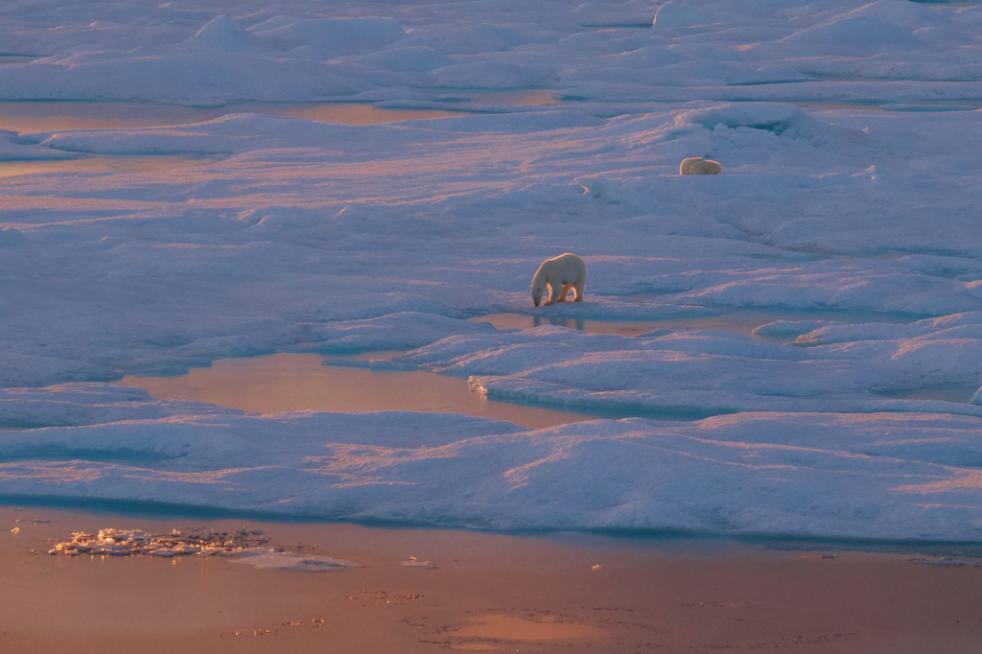 Jewels of the Russian Arctic: Franz Josef Land and Novaya Zemlya