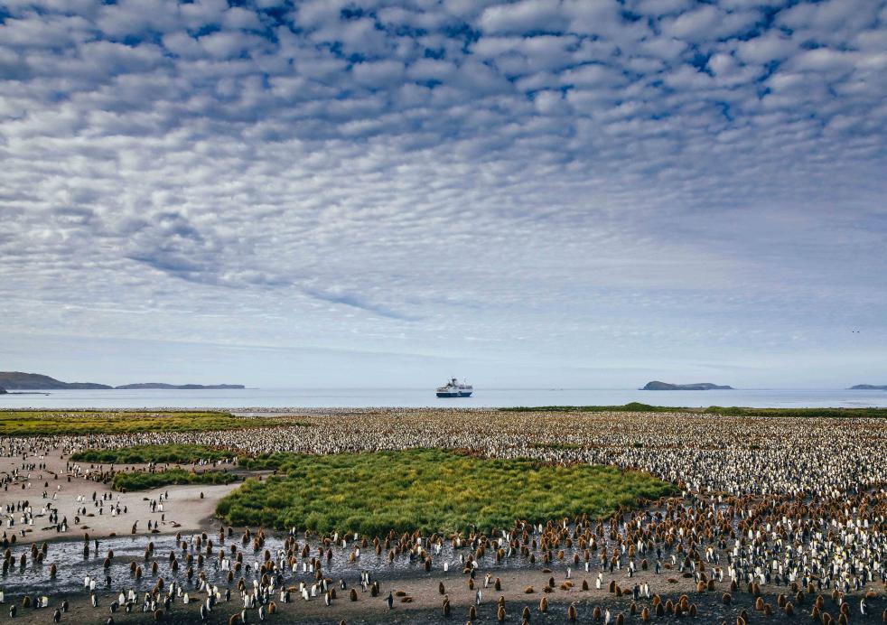 Falklands, South Georgia and Antarctica: Explorers and Kings