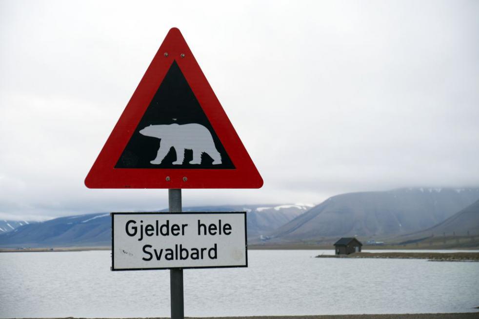 Explore Svalbard Micro Cruising