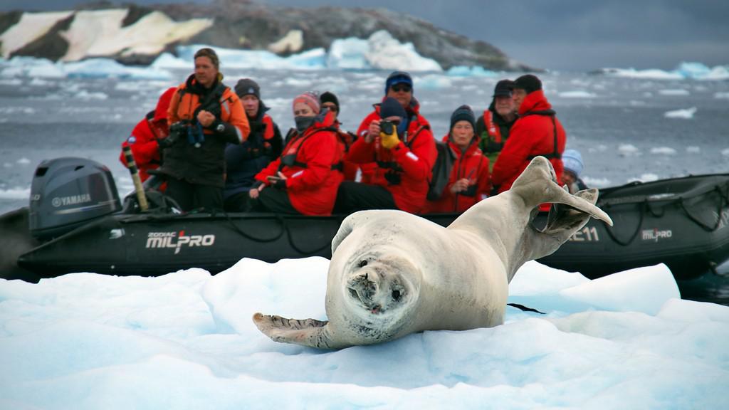 Antarctic Polar Circle