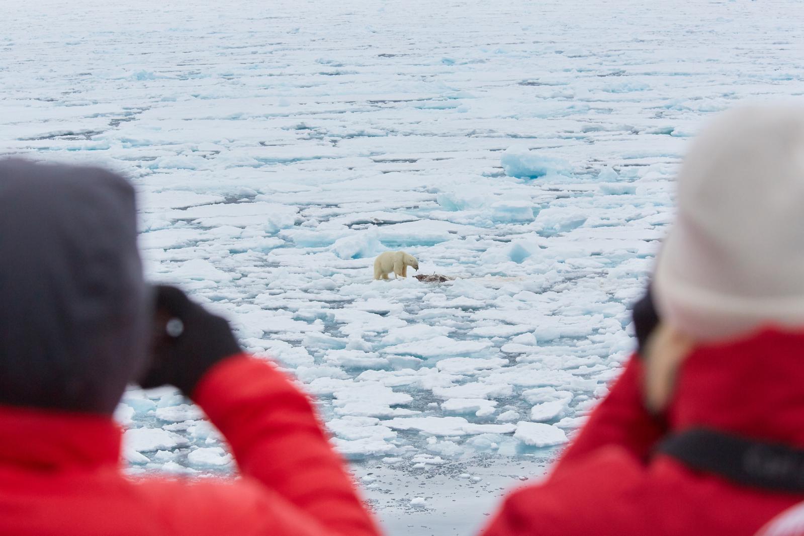North Spitsbergen, In search of Polar Bear & Pack Ice Arc of Meridian