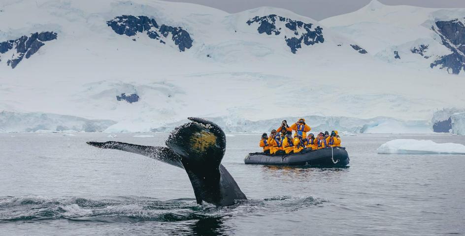 Antarctic Peninsula