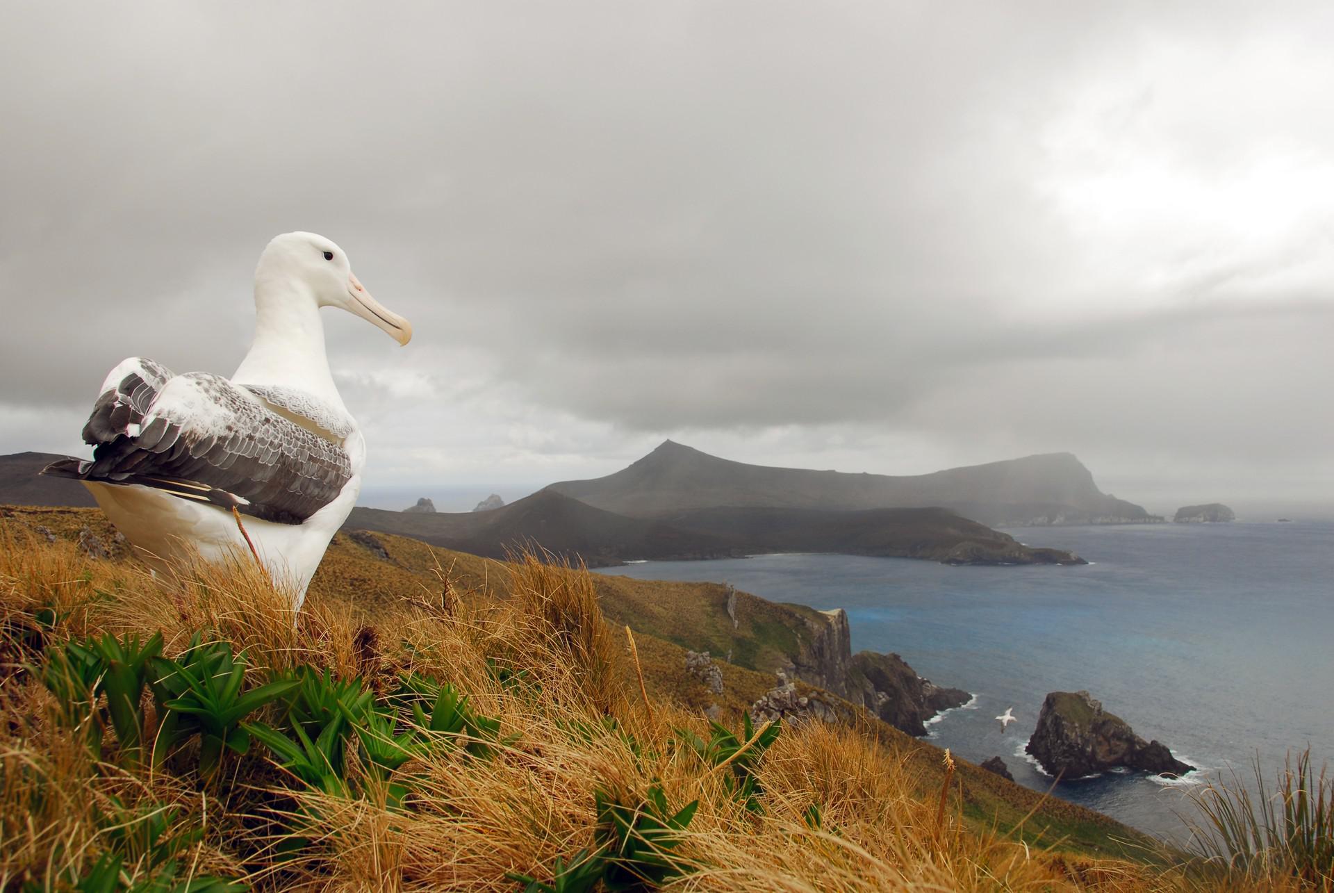 South Pacific Subantarctic Islands