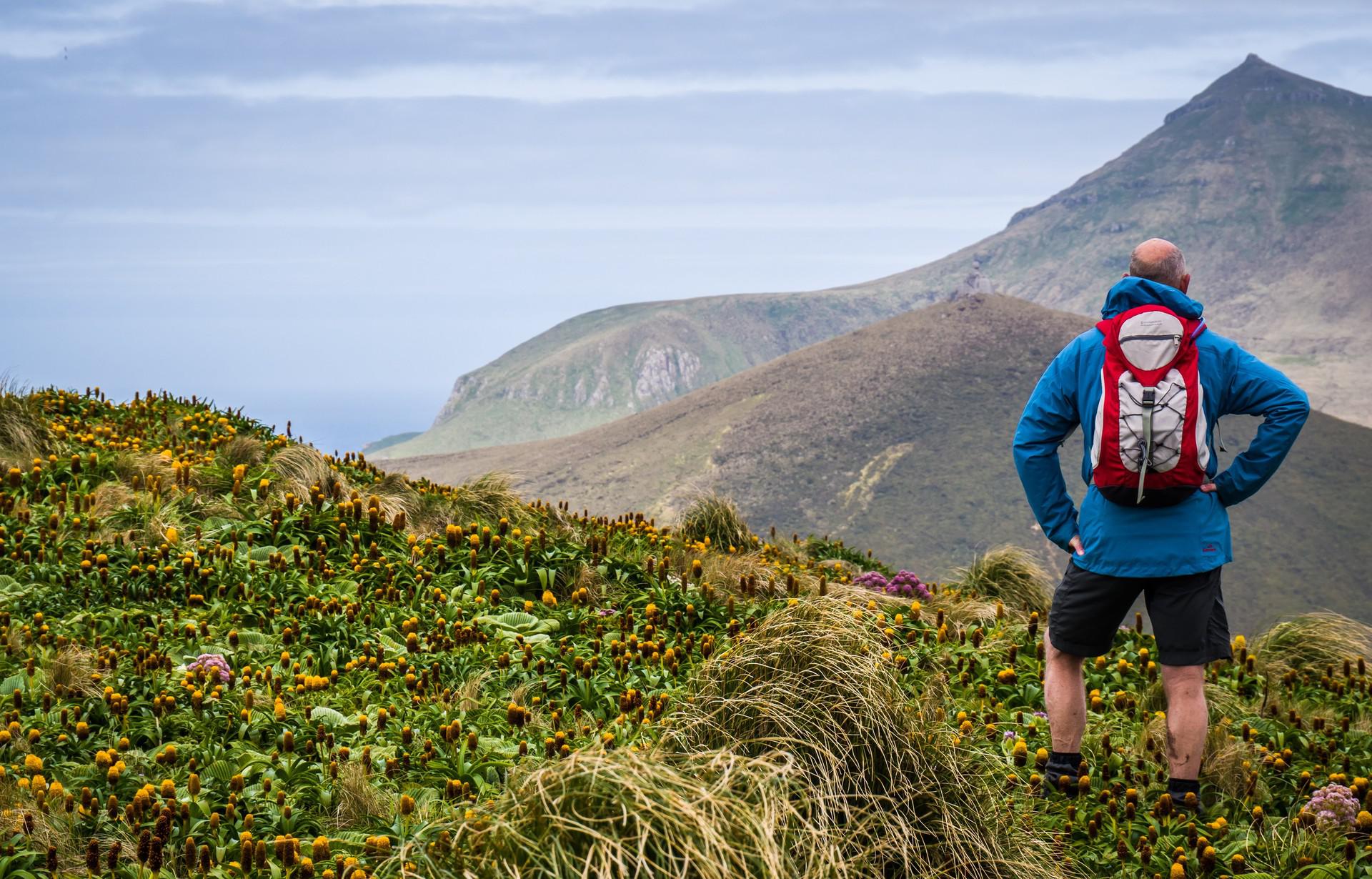 South Pacific Subantarctic Islands