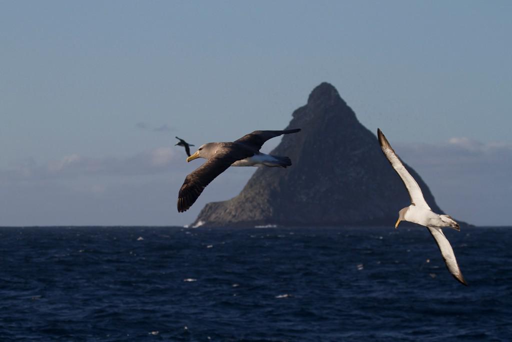 South Pacific Subantarctic Islands