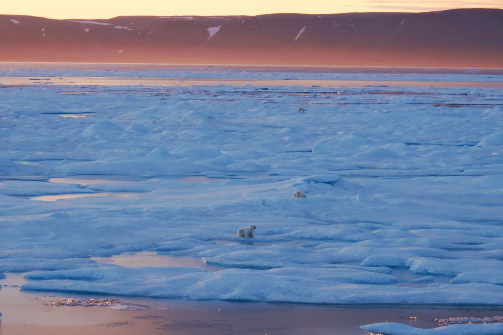 Svalbard, last stop before the Pole 