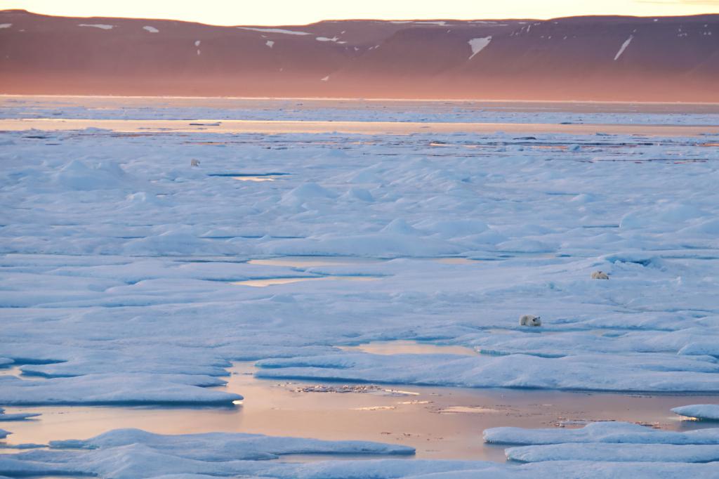 Canadian Arctic and Greenland