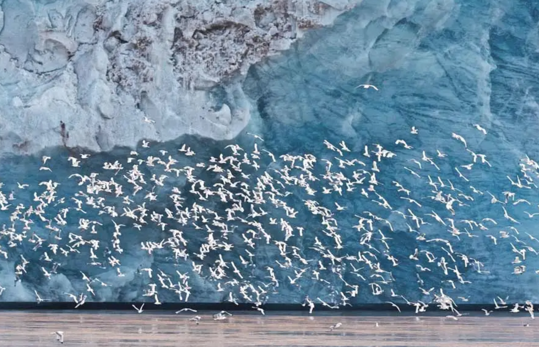 Crucero Pionero por Svalbard