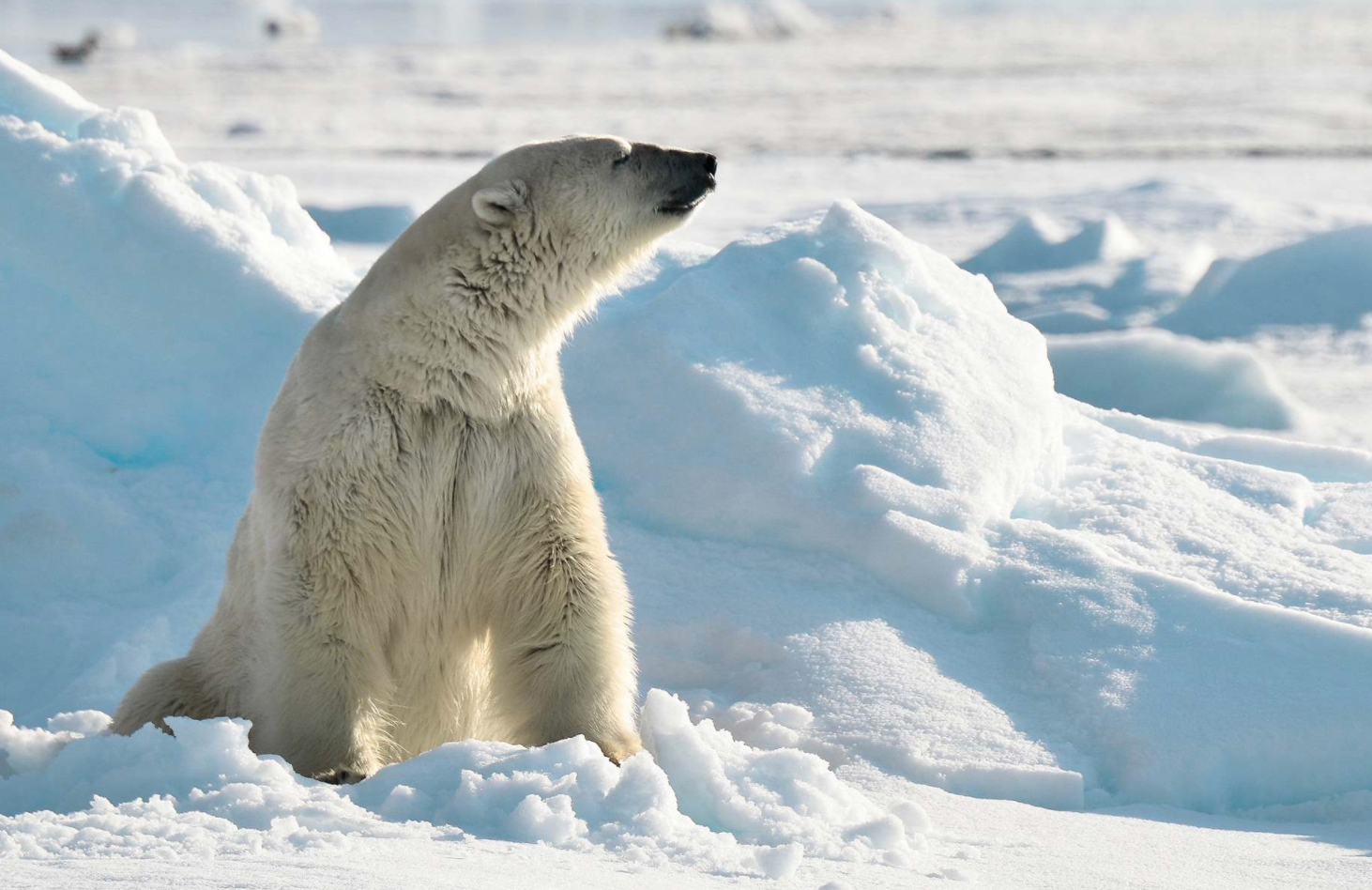 Abenteuer Spitzbergen