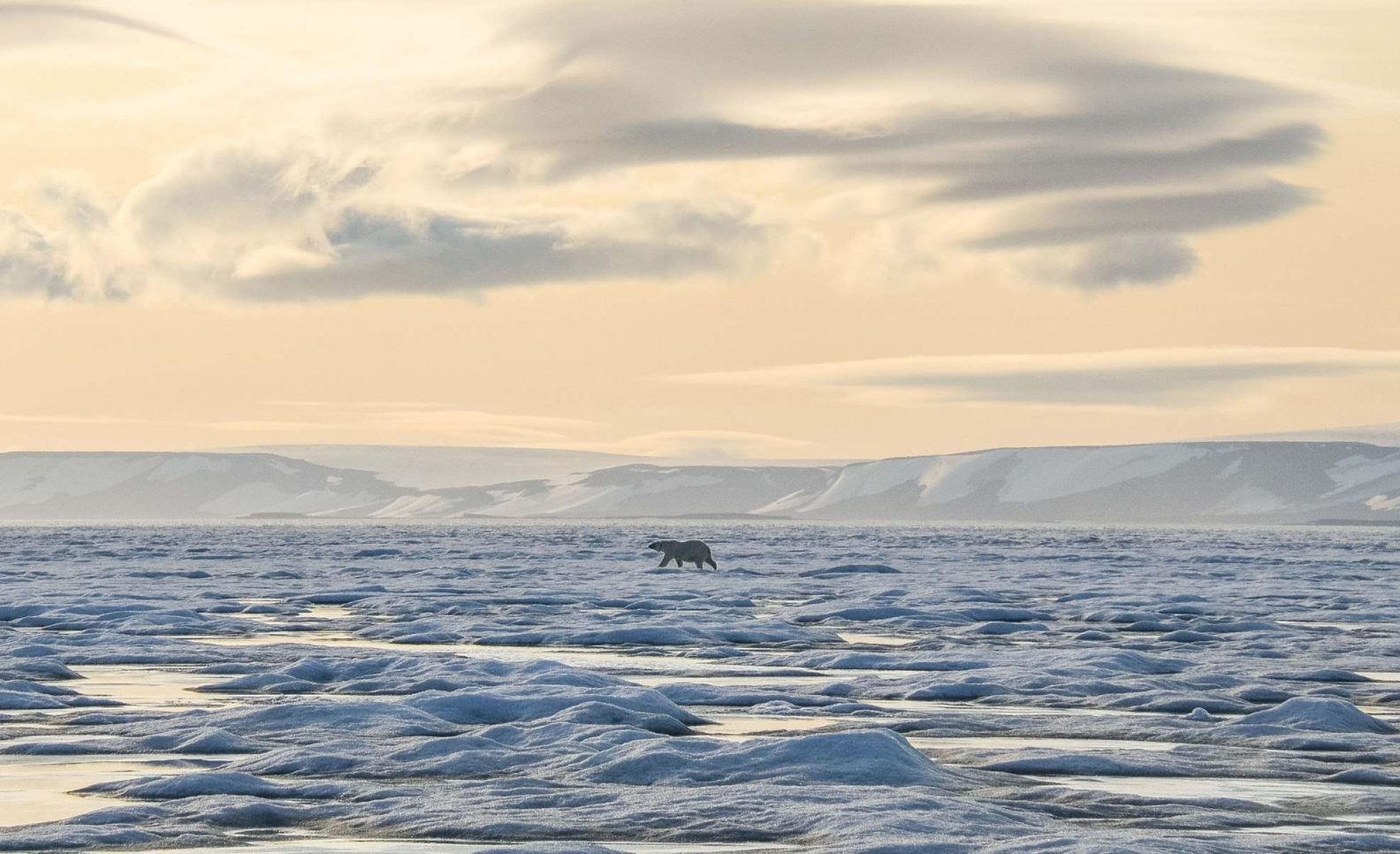 Expedition Svalbard