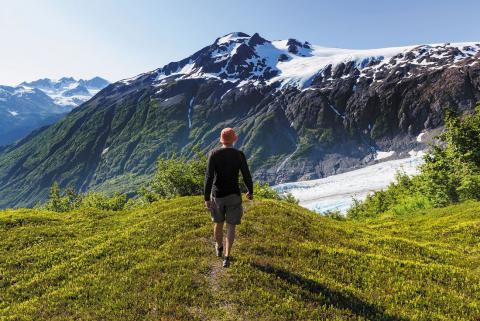 Alaska Land Tours