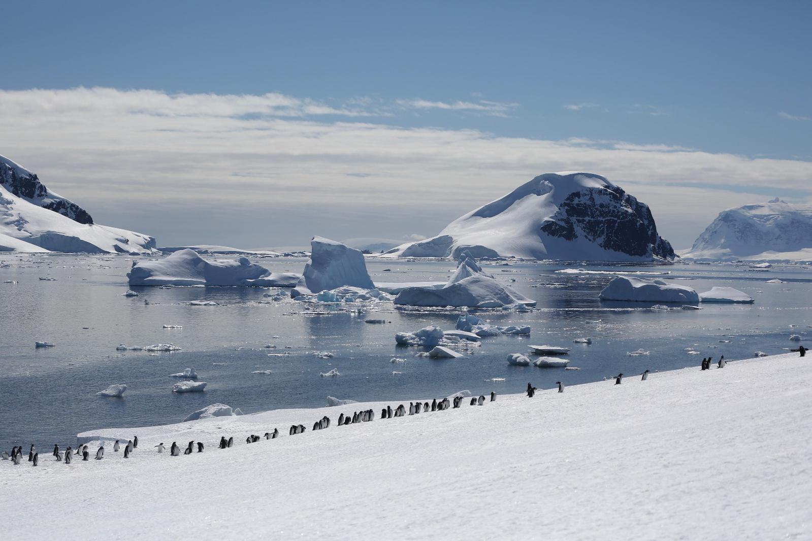 Antarctic Peninsula