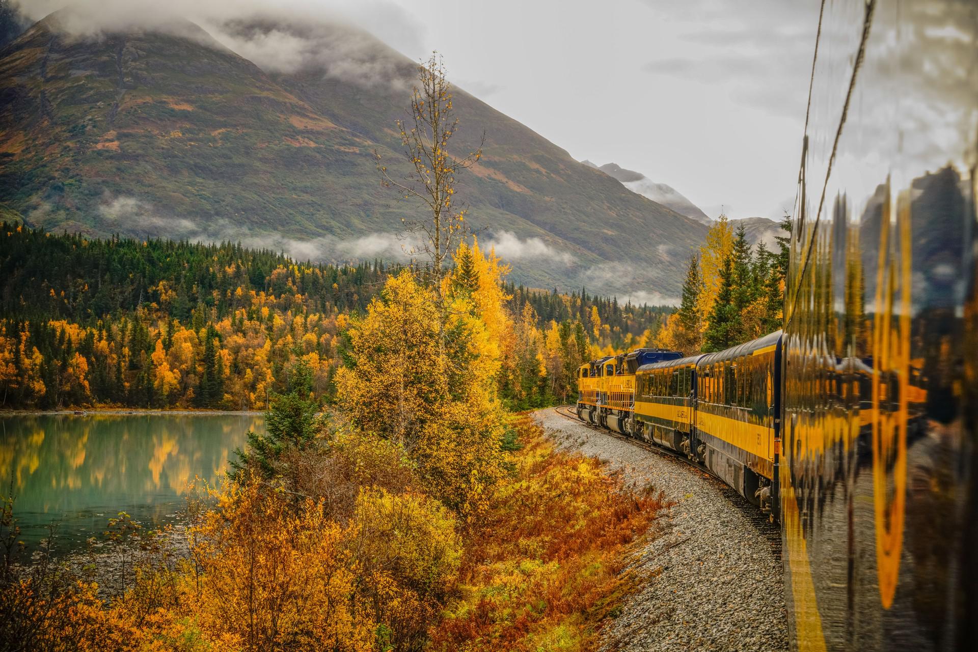 Alaska Wildlife Safari