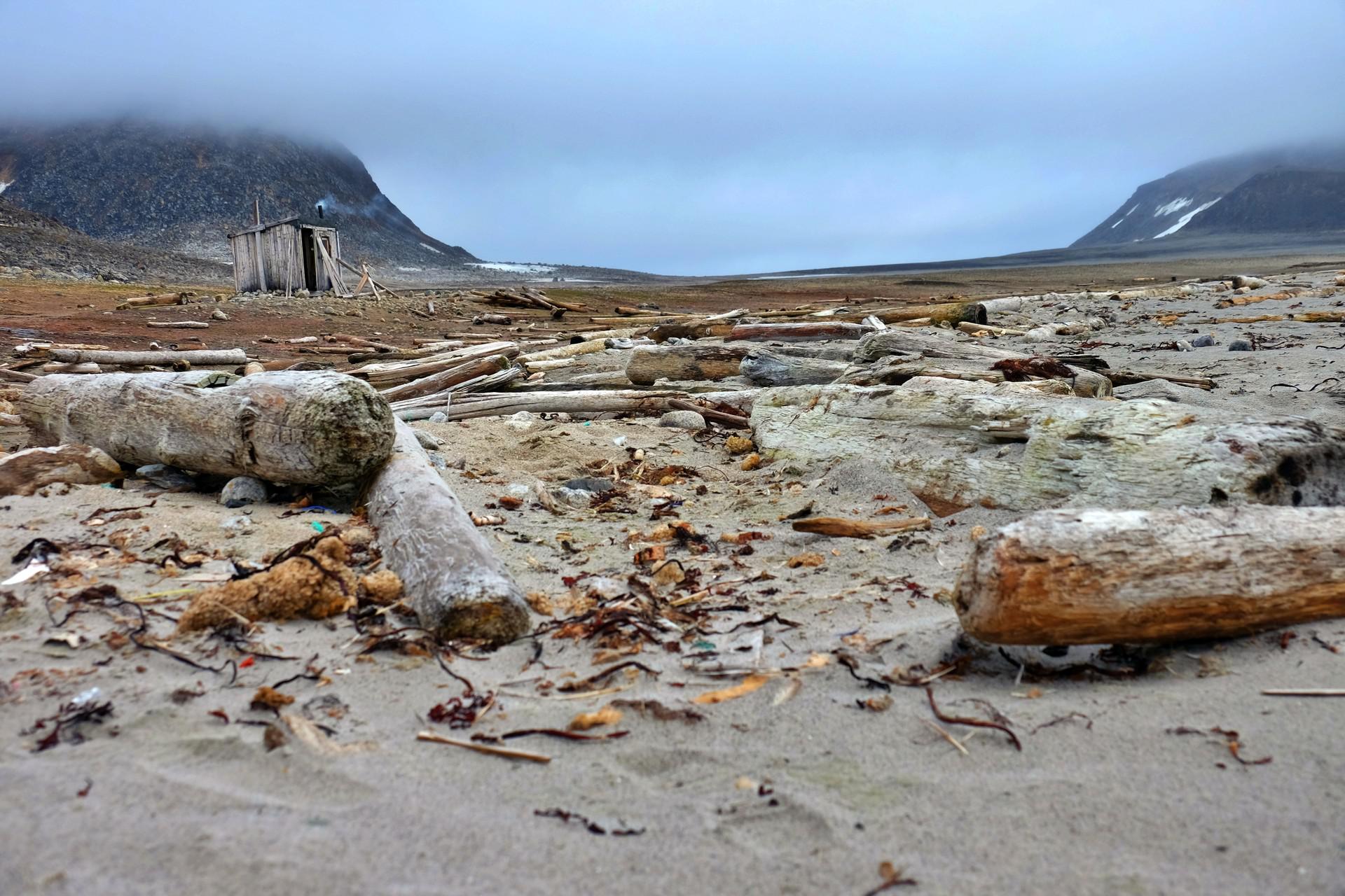Russian Arctic: Spitsbergen -  Franz Josef Land