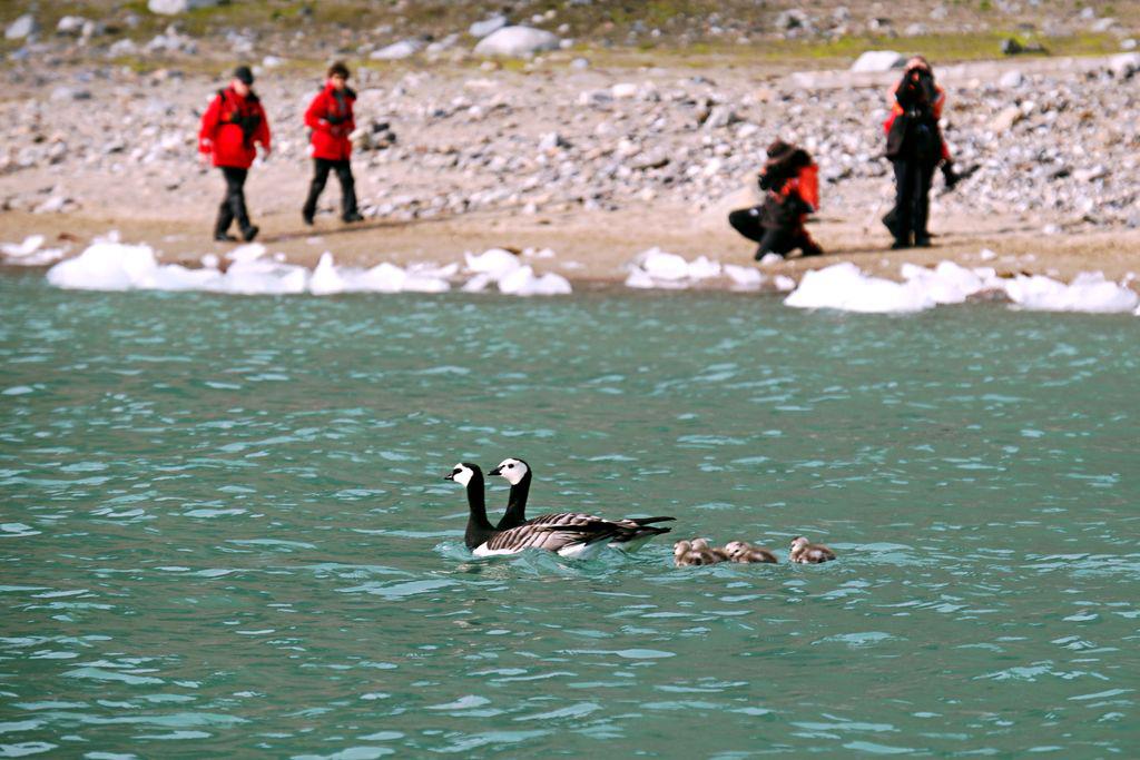 Svalbard Adventure: 8 days