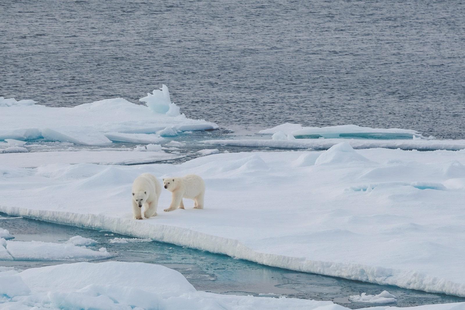 North Spitsbergen - Farthest North
