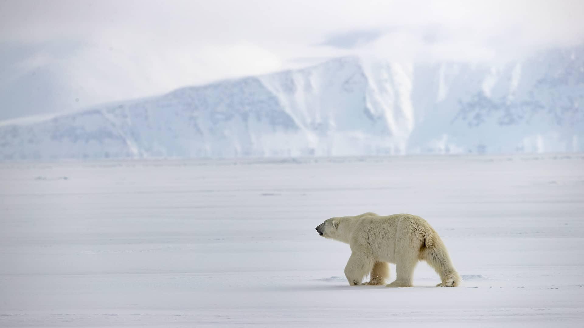 Canadian Arctic and Greenland