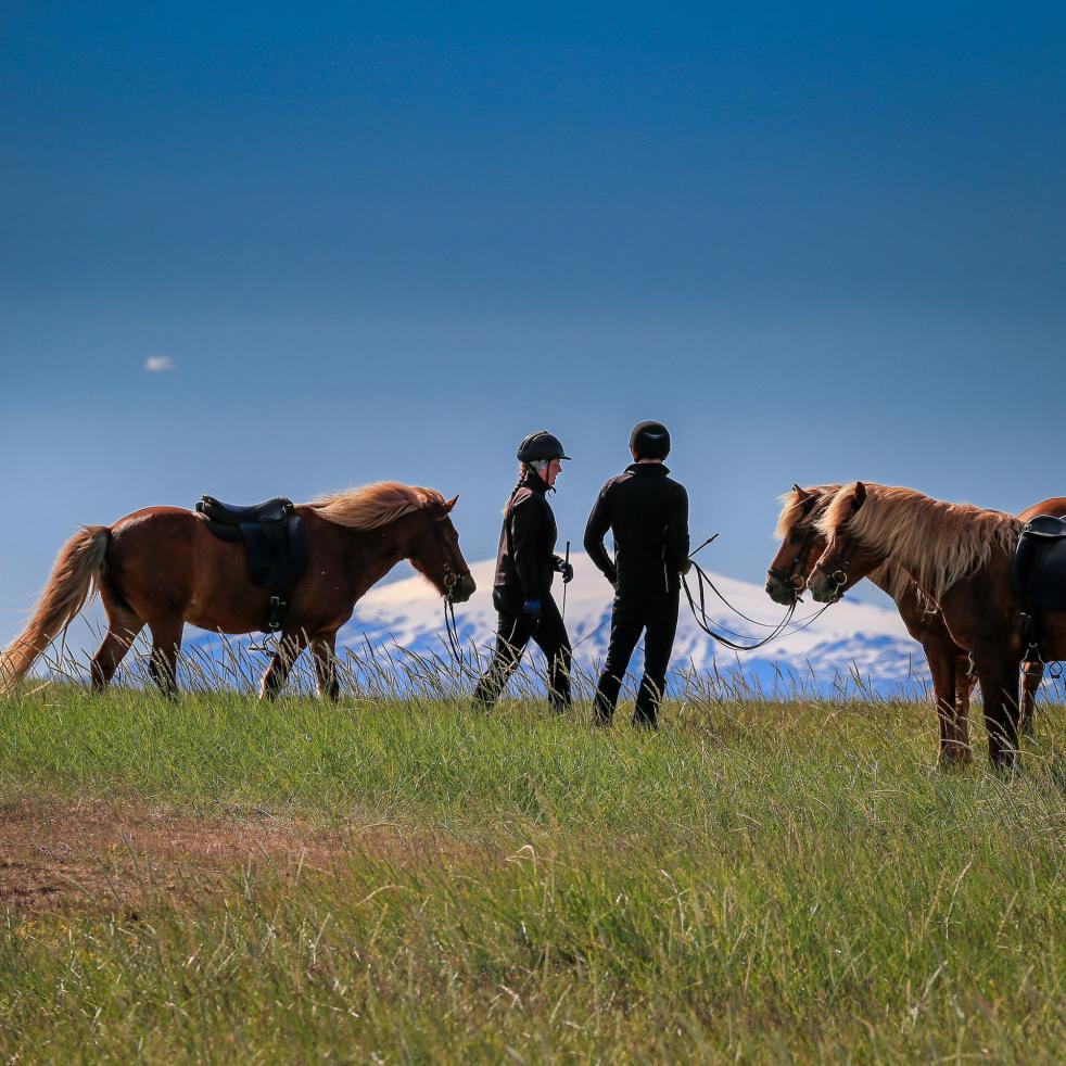 Horseback Riding