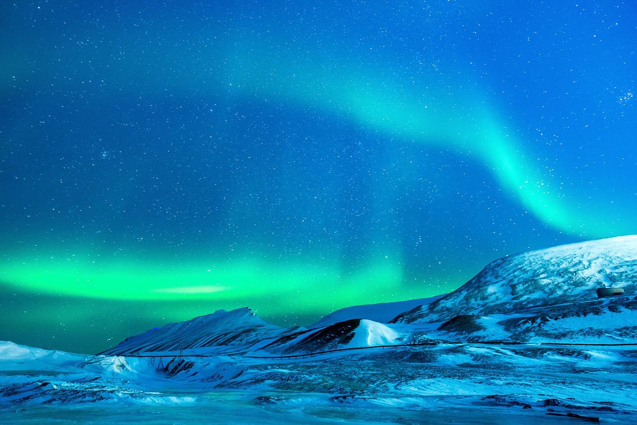 North Norway, Aurora Borealis & Whales - Winter Solstice Christmas Special