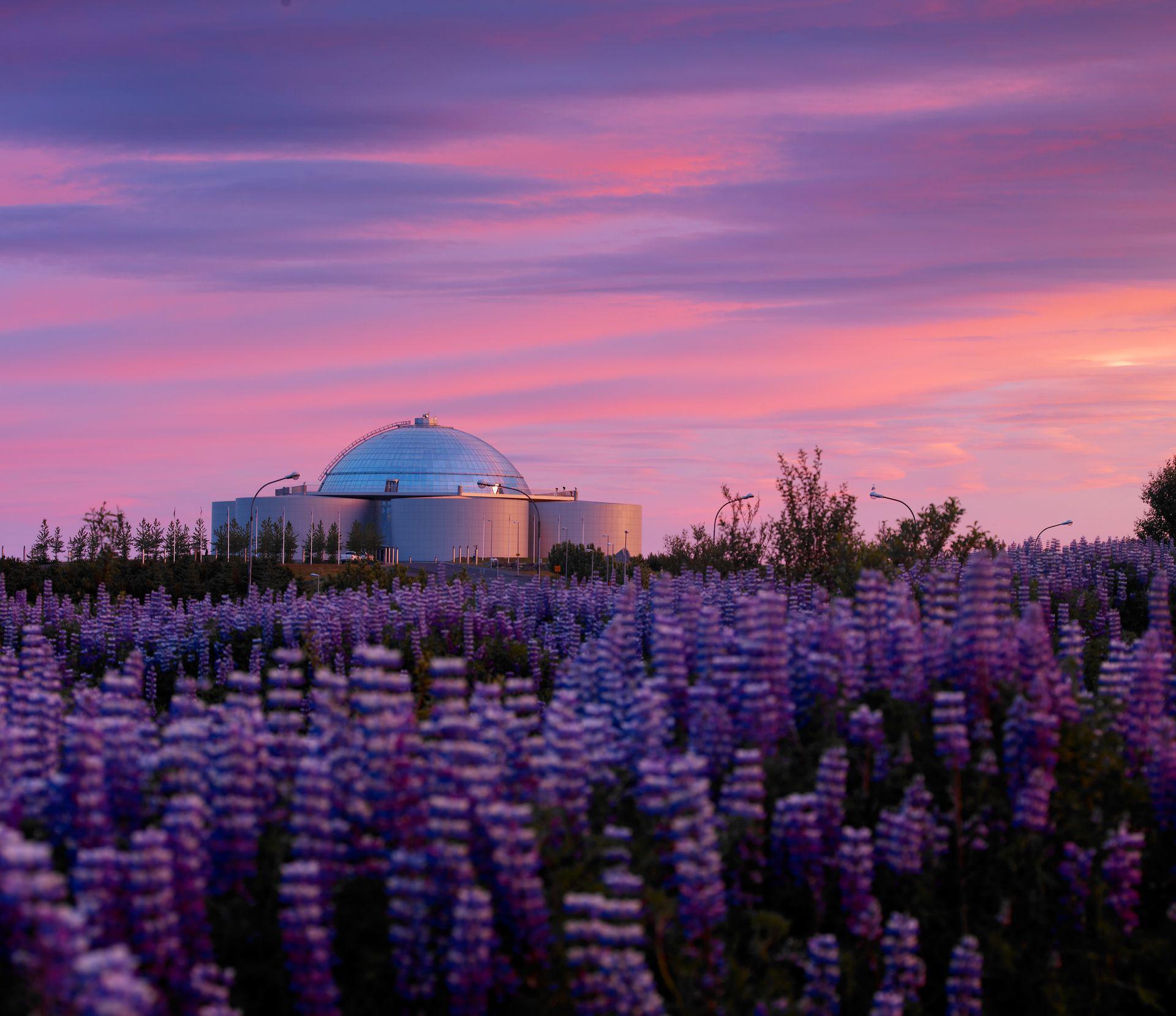 Iceland Land Tours