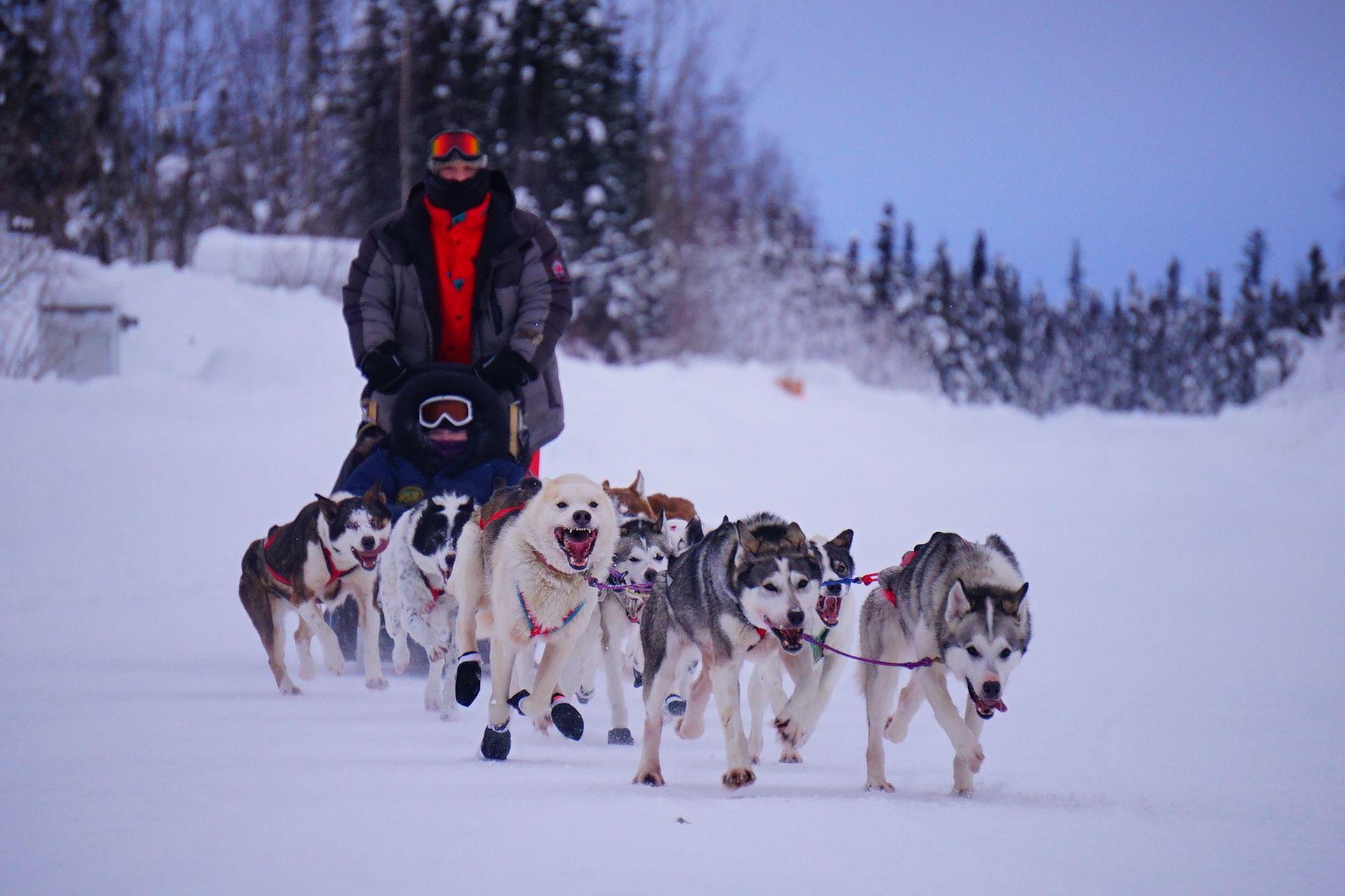 2022 Iditarod and Fur Rendezvous Self Drive