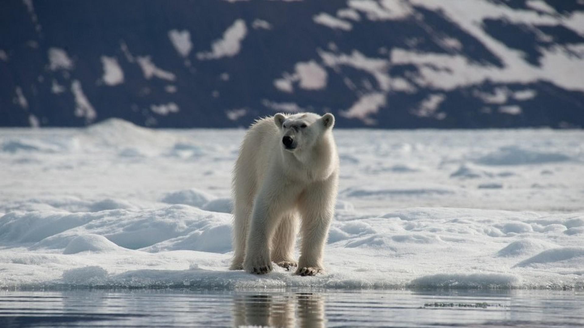 North Spitsbergen - 'Basecamp' - Cleaning the Shores - Summer Solstice 2022