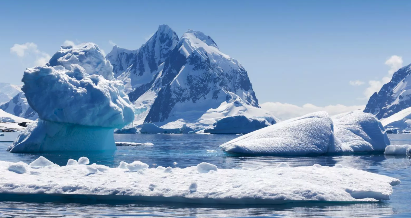 Falkland, South Georgia, Antarctica