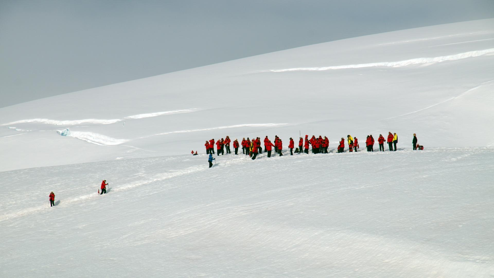 Falkland, South Georgia, Antarctica