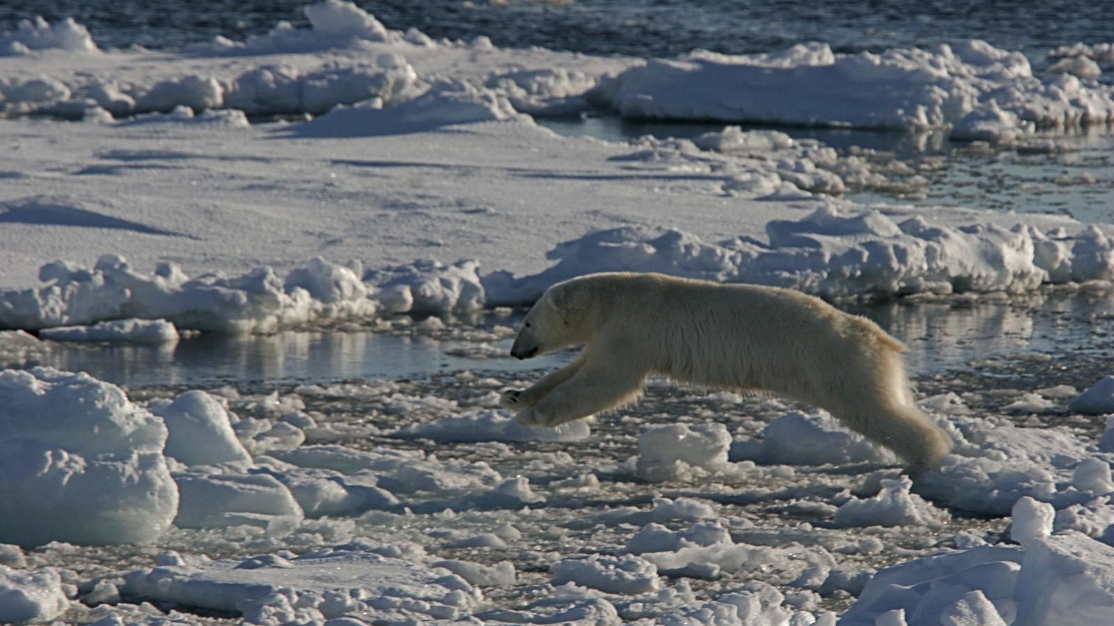 North Spitsbergen, Arctic Summer - Summer Solstice