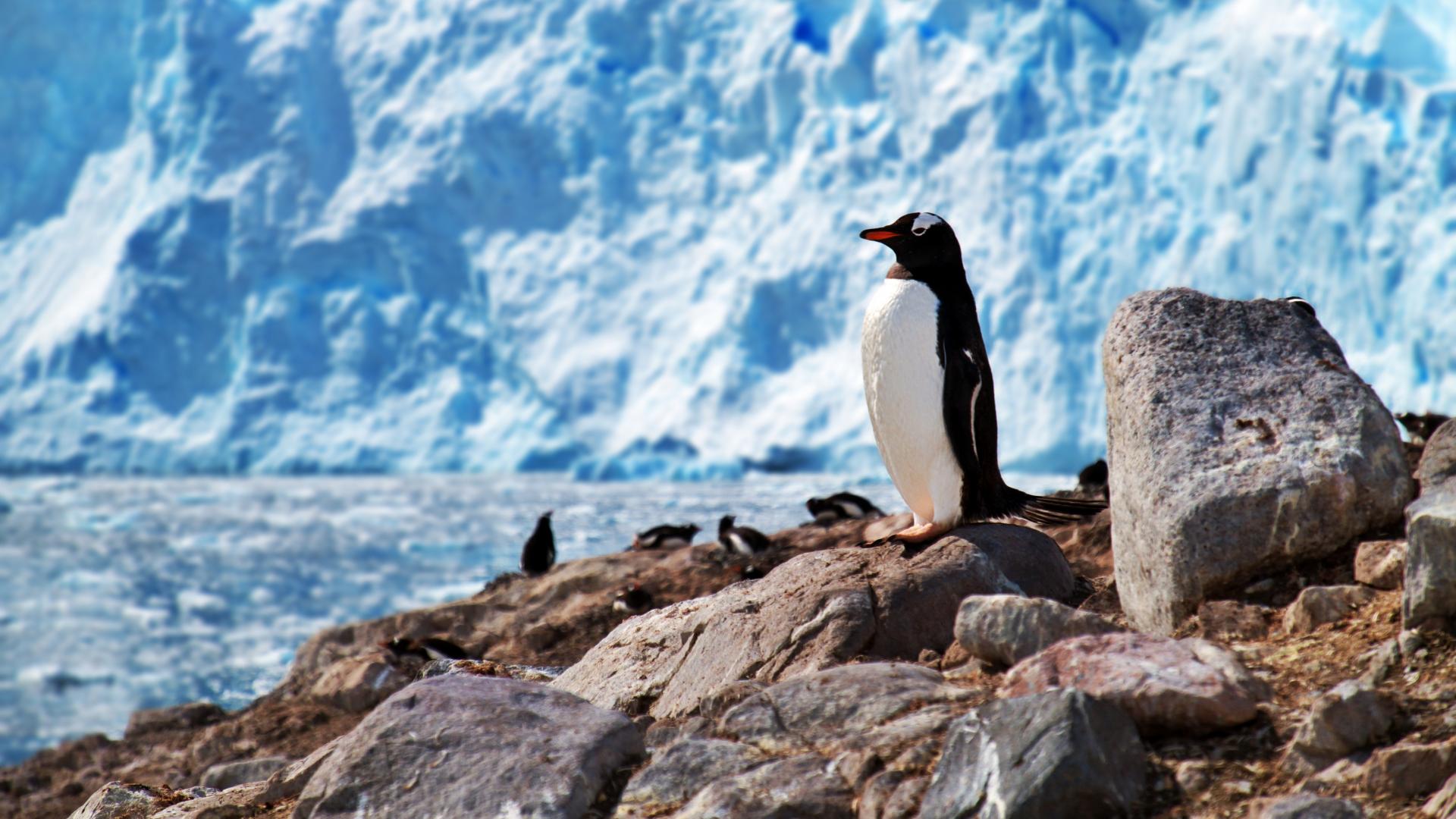 The Weddell Sea & Larsen Ice Shelf