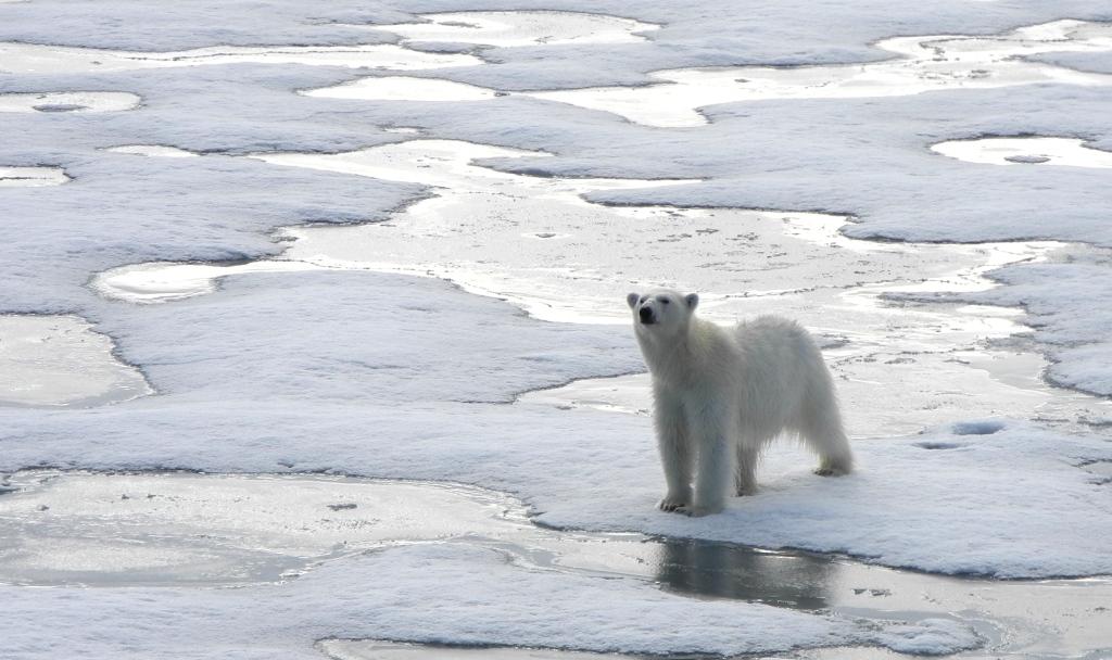 The Geographic North Pole - 18 days