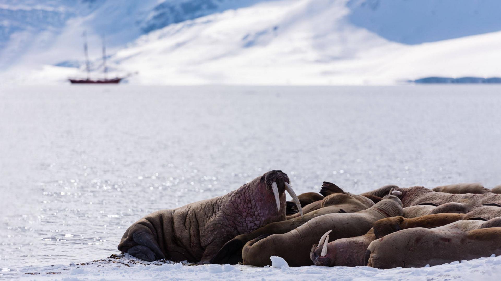 Svalbard