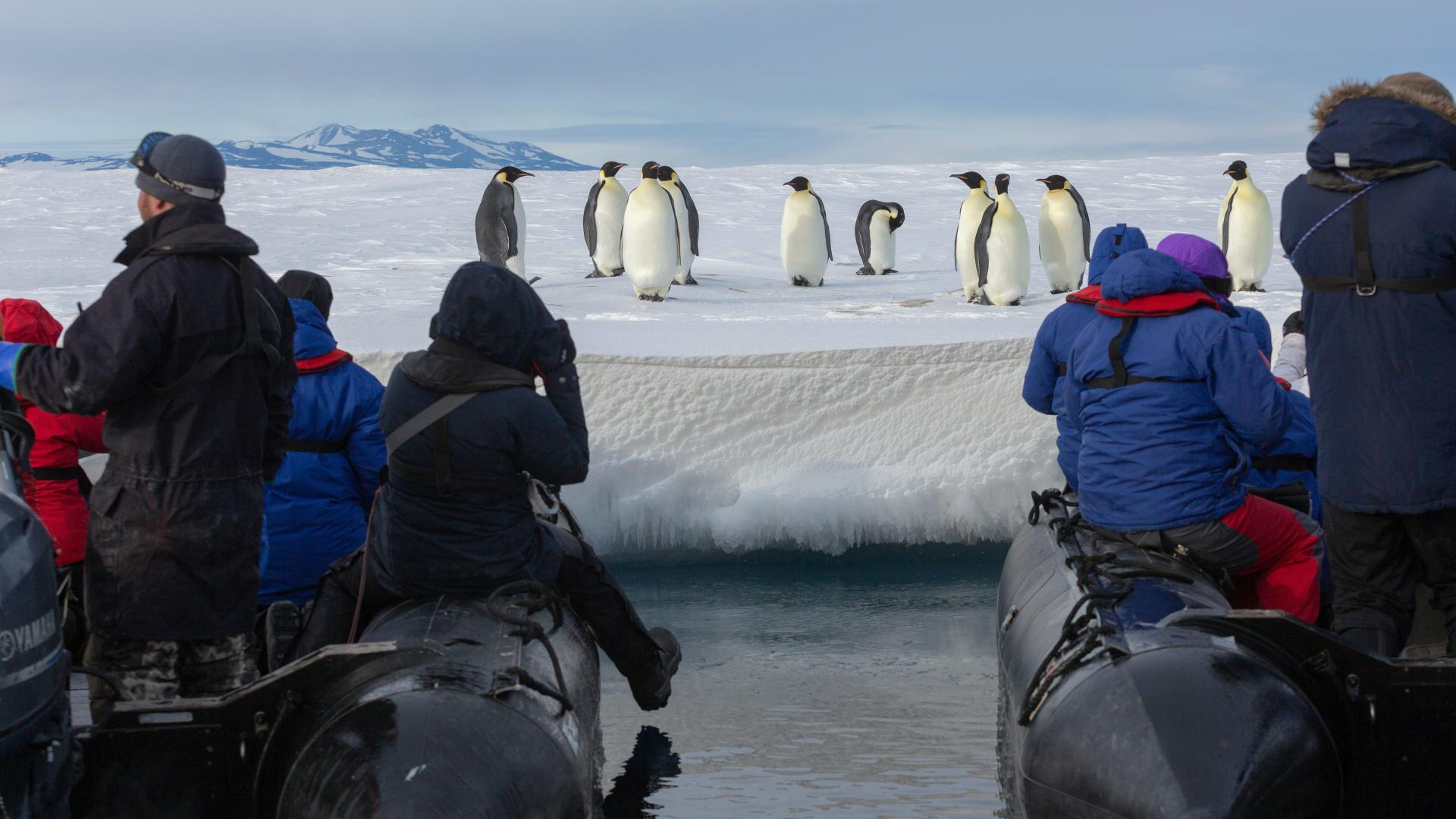 Ross Sea