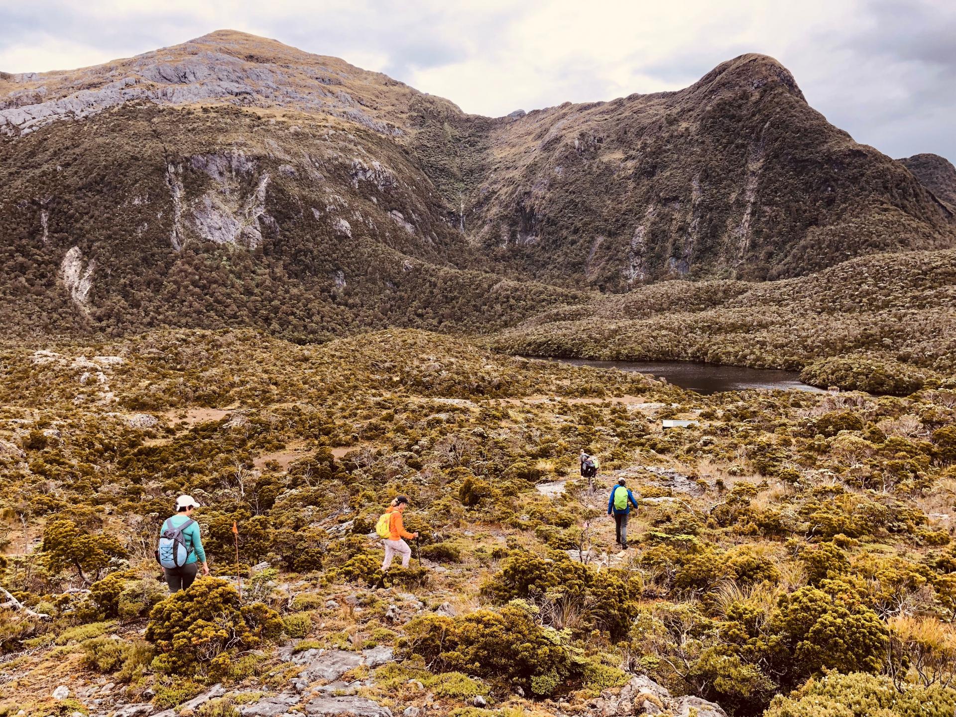 Fiordland Invisible, Isla Stewart e Islas The Snares