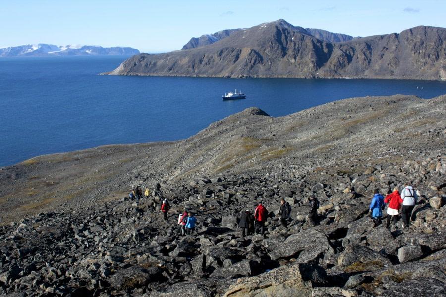 Around Spitsbergen, in the realm of the Polar Bear & Ice - Birding