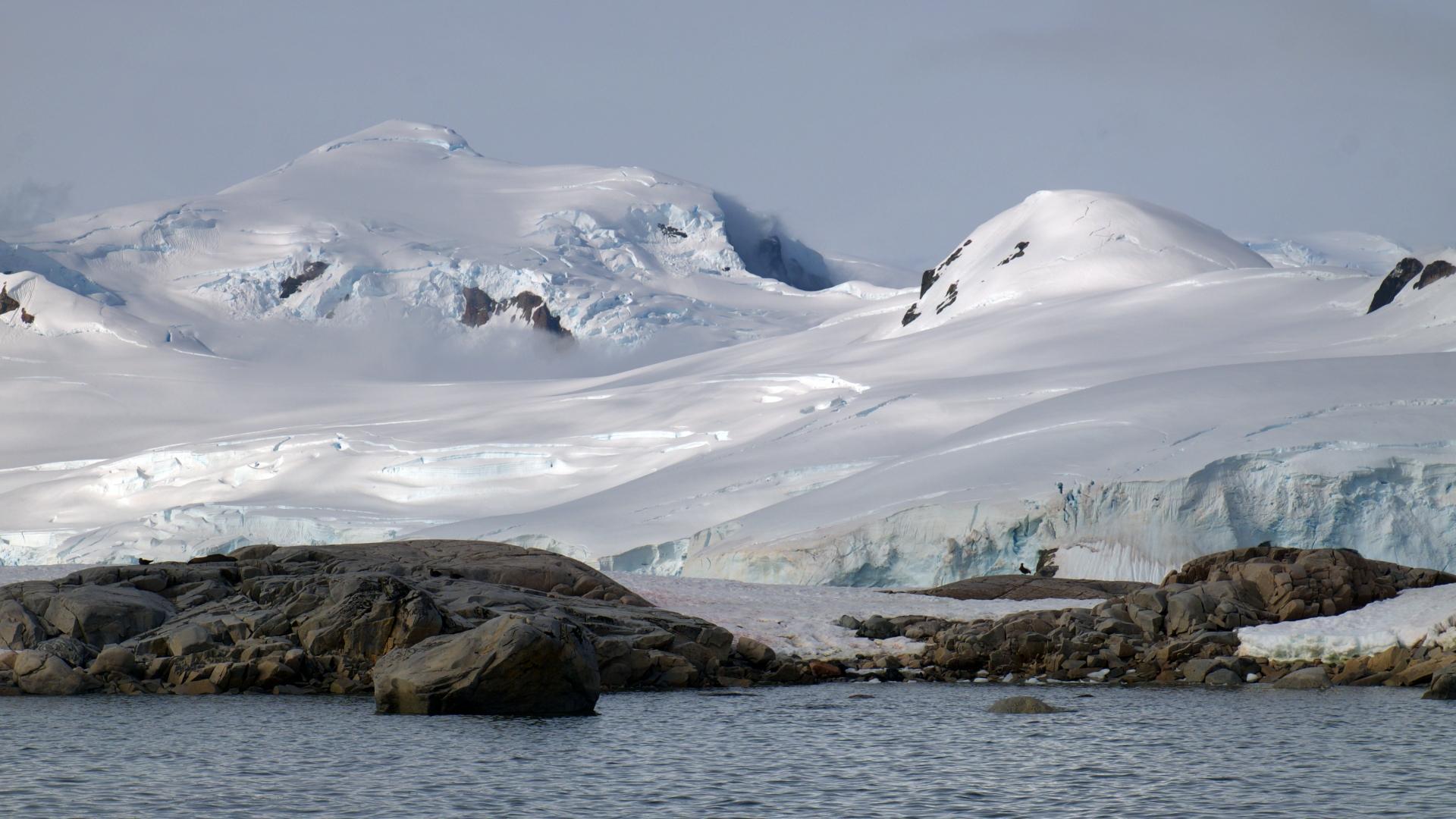 Falkland and Antarctic Peninsula (from Buenos Aires)