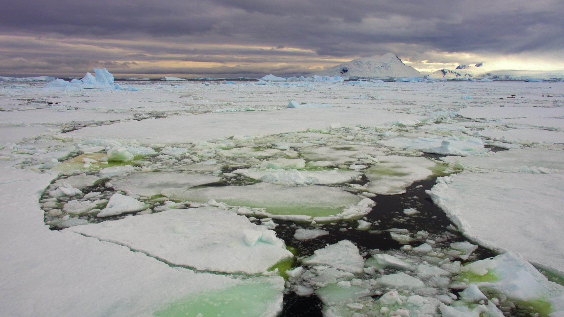 Antarctic Polar Circle