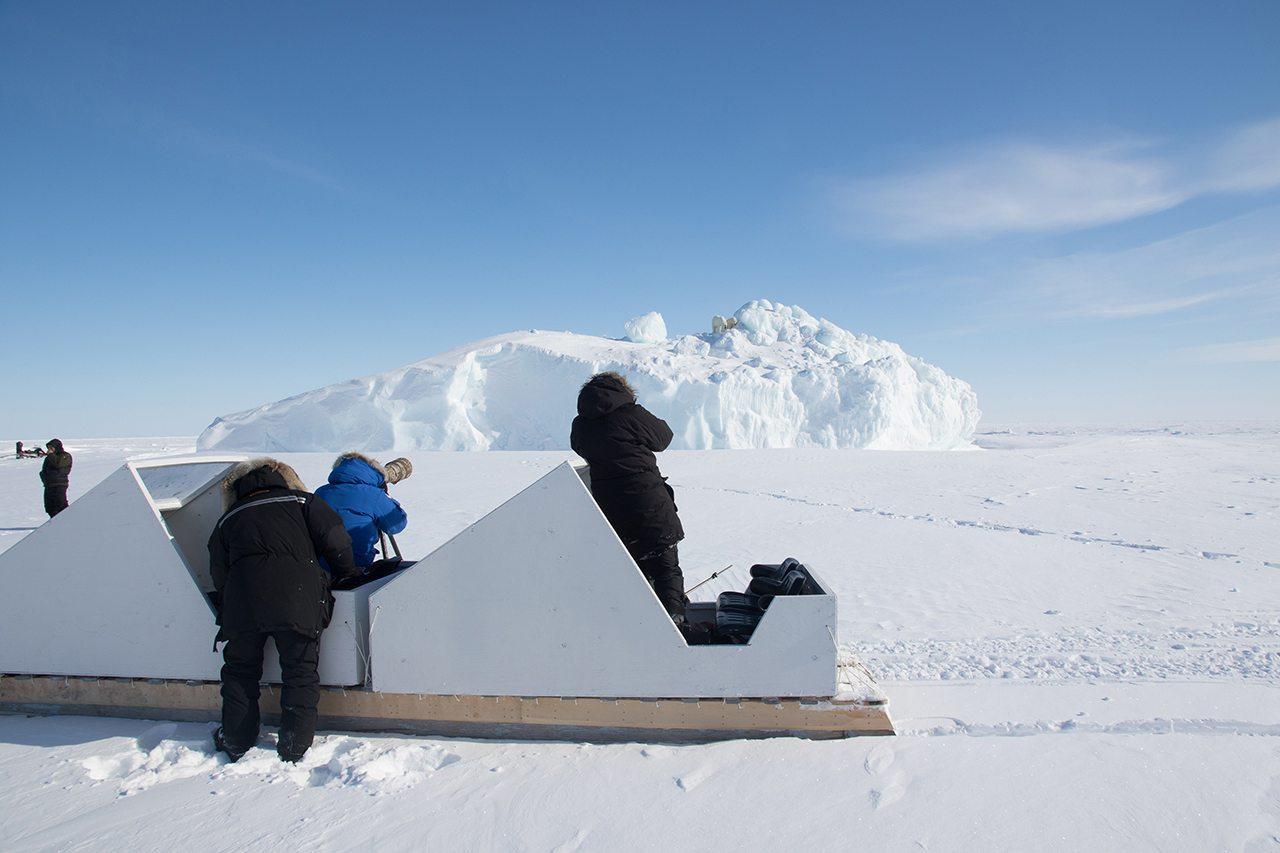 Safari de Osos Polares y Icebergs en Baffin