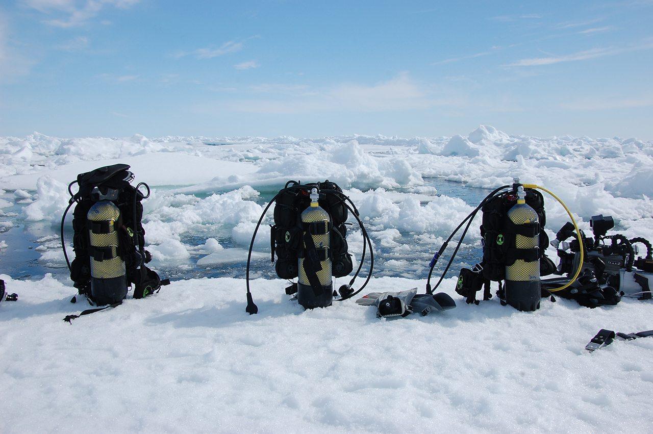 Safari de Buceo en Isla Baffin