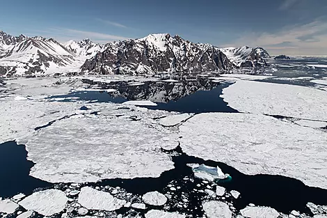 Northeast Greenland's unexplored sea ice