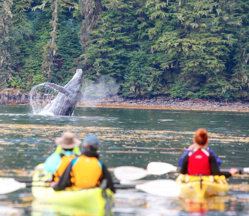 Glacier Bay National Park, Haines & Pelican