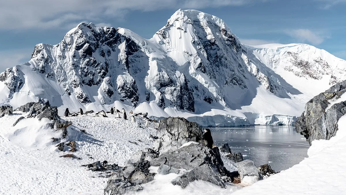 Antarctic Peninsula