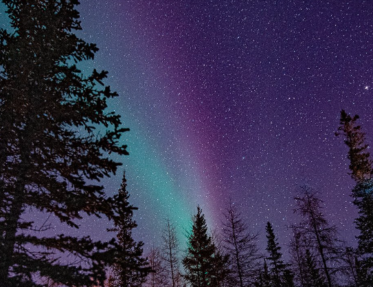 Auroras Boreales y Noches de Invierno