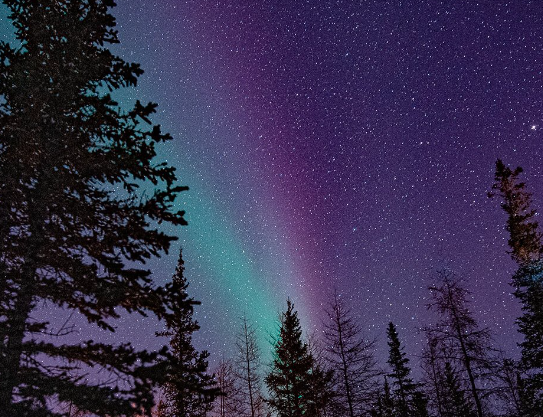 Northern Lights and Winter Nights