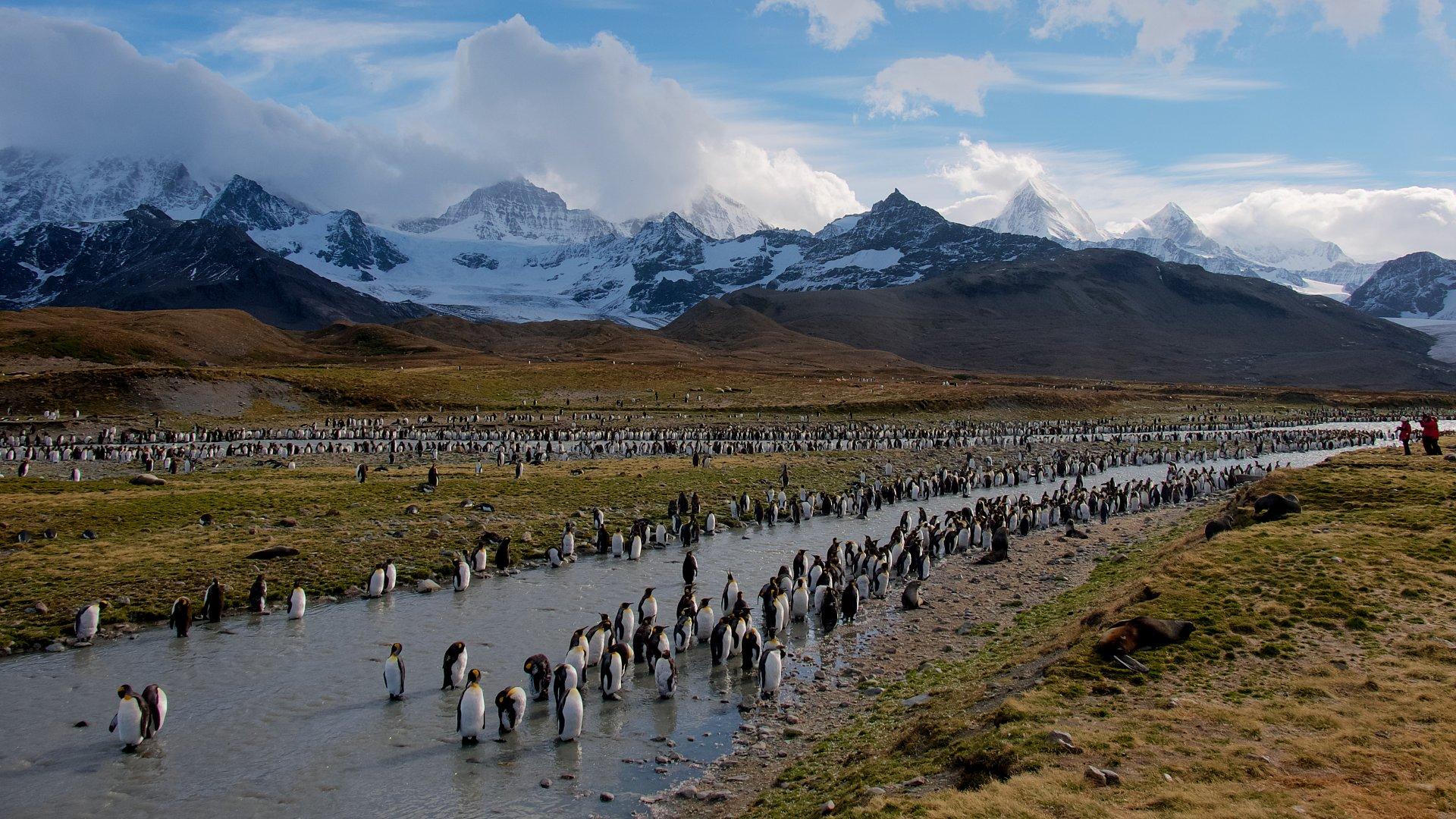 Taller de Fotografa 2024: Pt. Madryn - Malvinas  Georgias del Sur  Antrtida