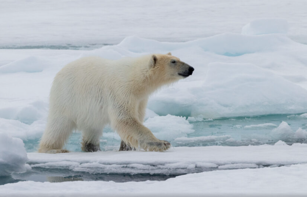 Svalbard